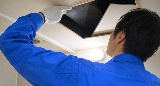 害獣駆除対策の現地調査・侵入口確認イメージ（鹿児島｜南日本消毒）