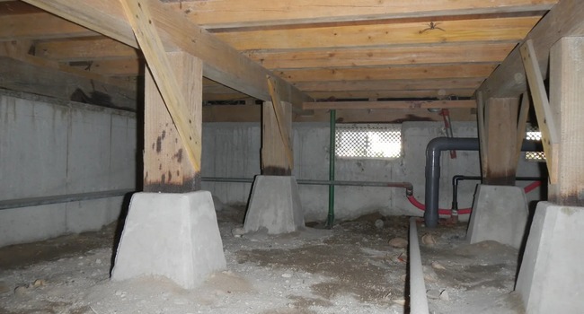 床下の状況を写真で記録し、木部や湿気などを確認（鹿児島のシロアリ対策）