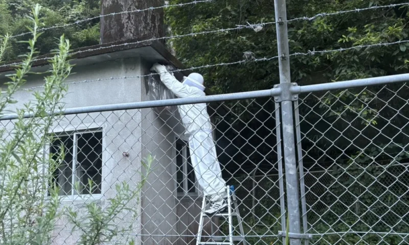 蜂の巣を確認する作業員（鹿児島の蜂駆除・蜂の巣駆除｜南日本消毒）