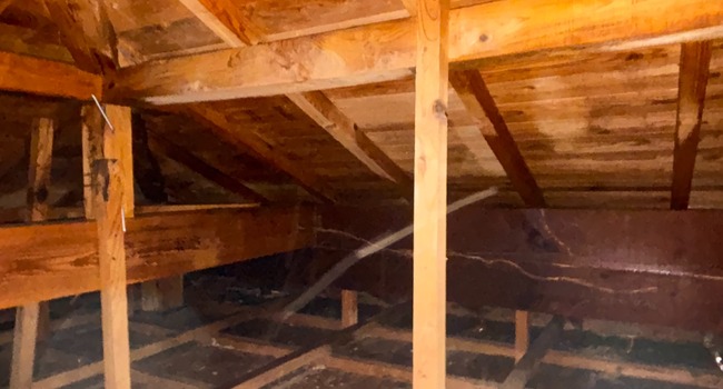 天井裏（屋根裏）の状況を写真で記録し、害獣の痕跡や侵入経路を確認（鹿児島｜南日本消毒）