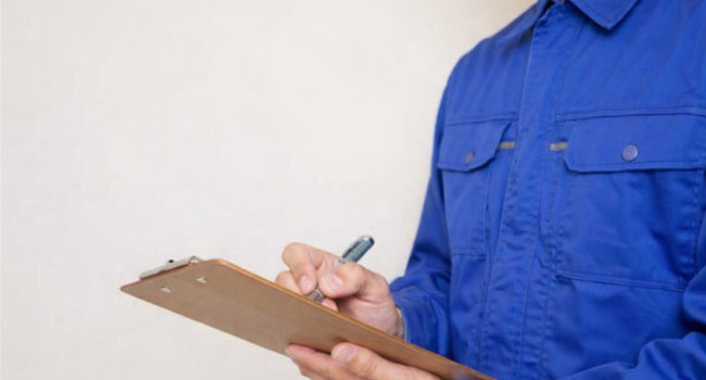 蜂駆除後の再発防止策を分かりやすくご提案（鹿児島｜南日本消毒）