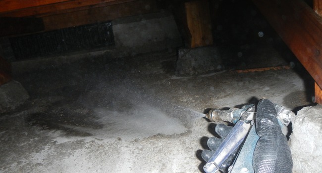 害獣駆除後の清掃・消毒作業イメージ（鹿児島｜南日本消毒）