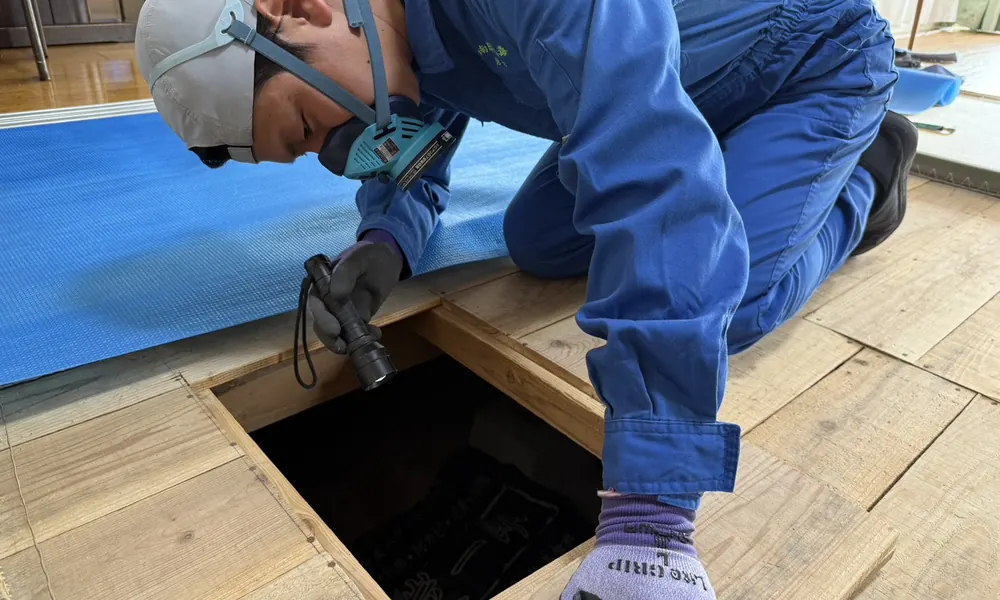 床下点検口から床下の状態を確認する南日本消毒のスタッフ